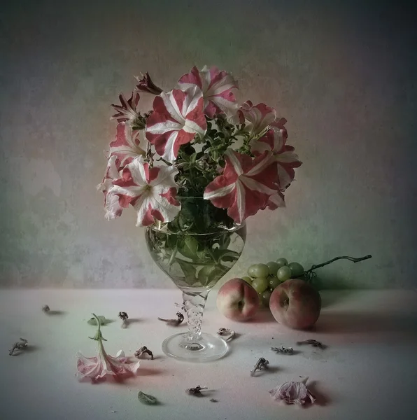 Natürmort fotoğraf sanatı