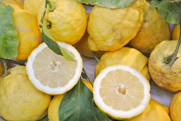 Limoni di Sorrento — Foto Stock