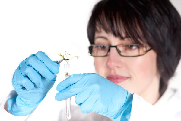 Imagem de belo trabalhador de laboratório segurando tubo de teste — Fotografia de Stock