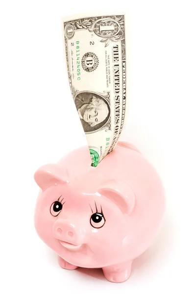 Pink pig money box — Stock Photo, Image