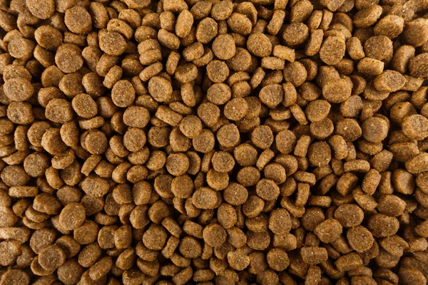 Chien de mot écrit avec des granules — Photo