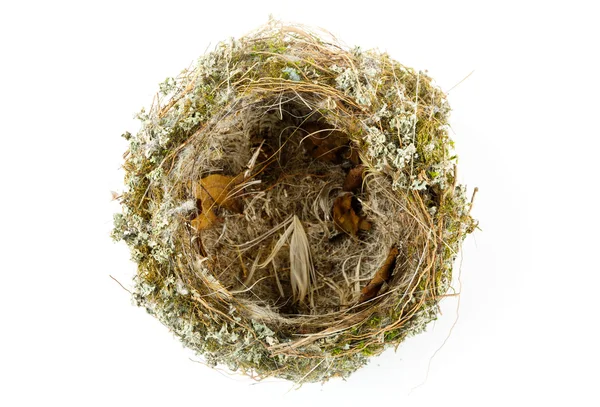 Real empty bird nest on white Royalty Free Stock Images