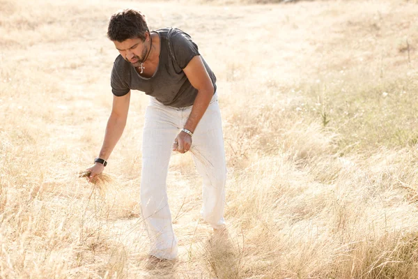 Man on dry meadow picking grass straws to start a fire, wide angle view - into the wild series — Stock Photo, Image