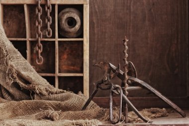 eski tozlu şişeleri natürmort