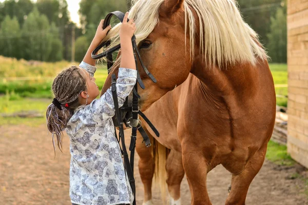 Девушка с лошадью — стоковое фото