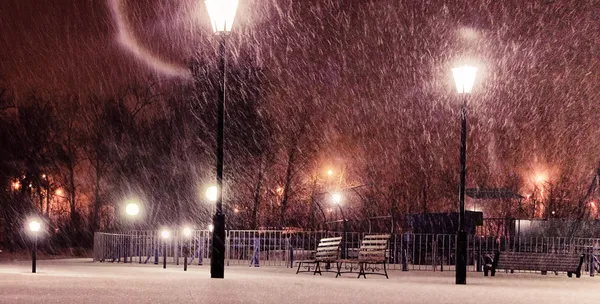 Parque en invierno —  Fotos de Stock