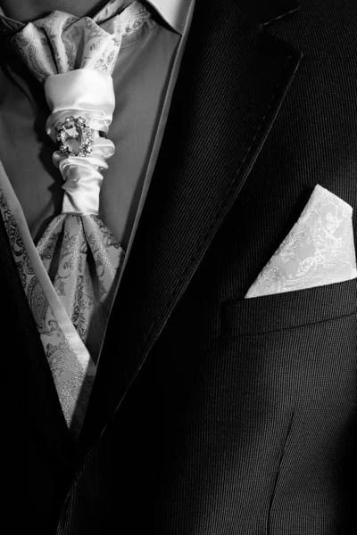 Elegáns és stílusos kabát — Stock Fotó