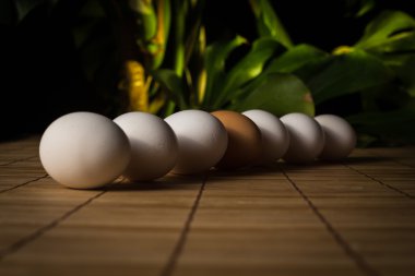 Brown and white eggs with reflection on white background eps10 illustration
