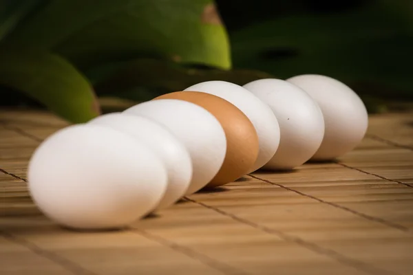Brown and white eggs with reflection on white background eps10 illustration — 图库照片
