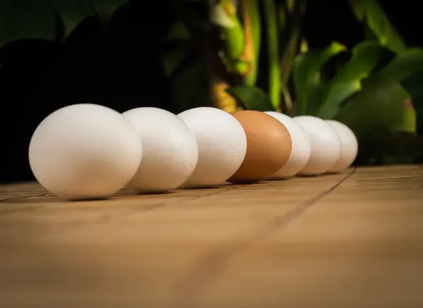 Brown and white eggs with reflection on white background eps10 illustration — 图库照片