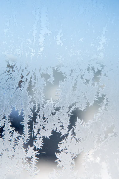 Льодові візерунки на зимовому склі — стокове фото
