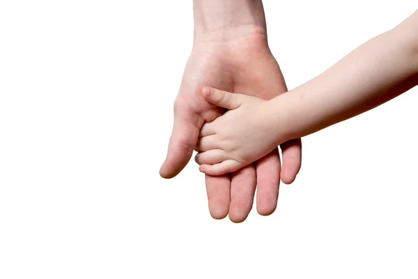Kinderen en man handen geïsoleerd op wit — Stockfoto