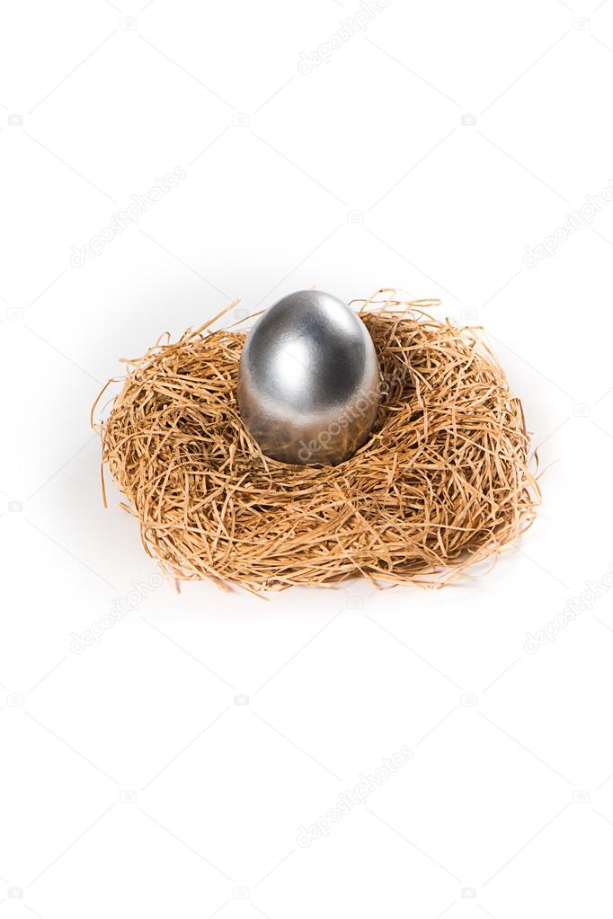 One silver egg in a nest.