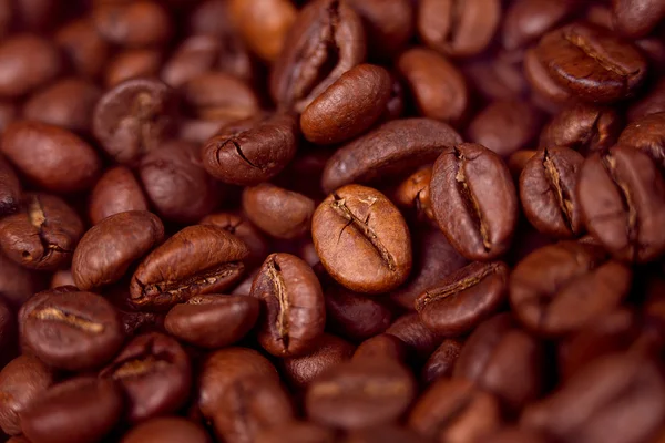 Coffee bean on wooden background — Stock Photo, Image