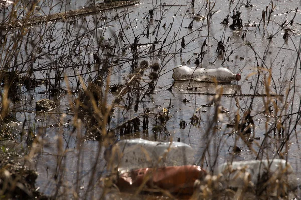 Пляшки і сміття в річці — стокове фото