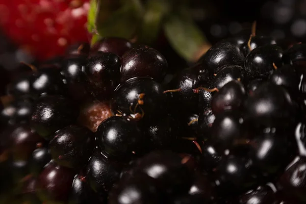 Collection of wild berries and strawberry — Stock Photo, Image