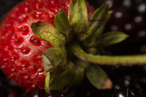 Collection of wild berries and strawberry — Stock Photo, Image