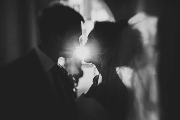 Silhouette of a young bride and groom — Stock Photo, Image