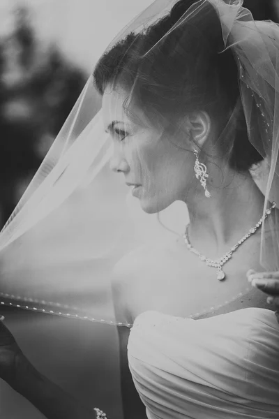 Preto e branco retrato de uma bela noiva Fechar-se brilhando da luz do sol — Fotografia de Stock