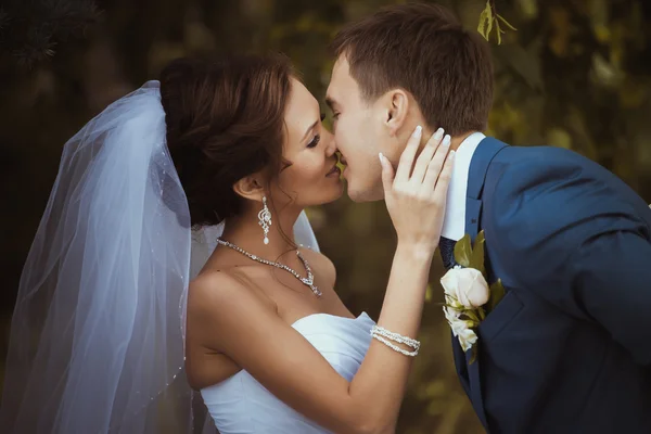 若い結婚式のカップルのキス. — ストック写真