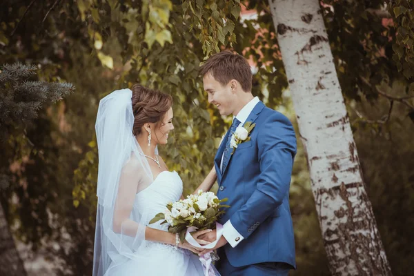 若い結婚式のカップルのキス. — ストック写真