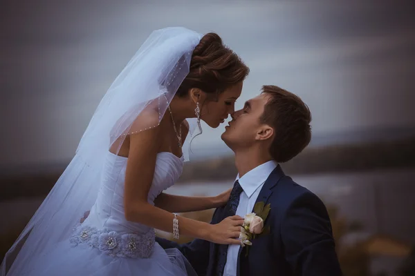 Молода весільна пара цілується . — стокове фото