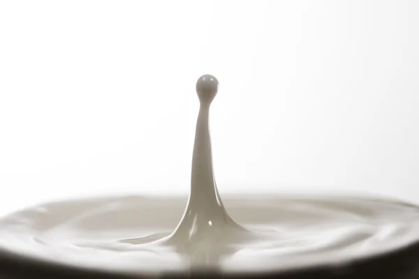 Verter la leche en un vaso aislado sobre fondo blanco — Foto de Stock