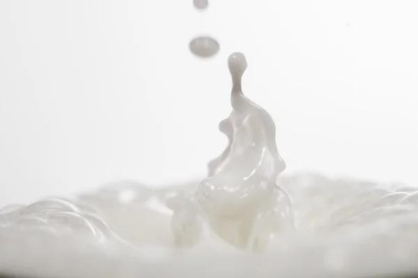 Milk Splash — Stock Photo, Image