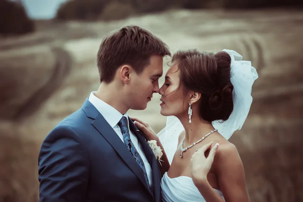 Braut und Bräutigam Hochzeitsporträts in der Natur — Stockfoto