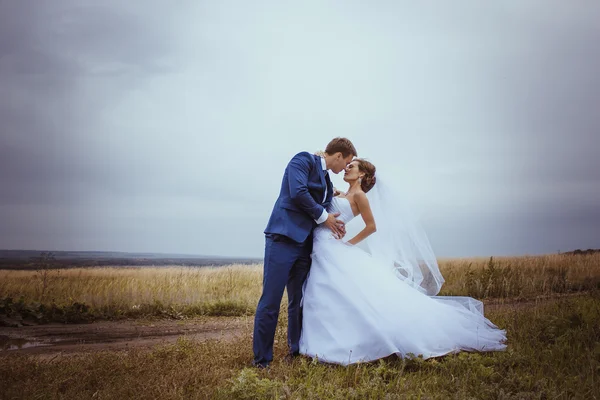 Gelin ve Damat Düğün Portreler doğada