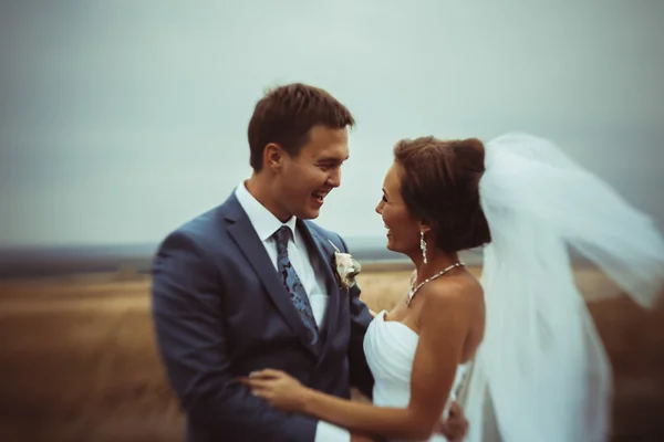 Bride and groom wedding portraits in nature — Stock Photo, Image