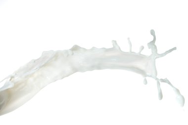 siyah arka plan üzerine izole sıçrama ile şampanya