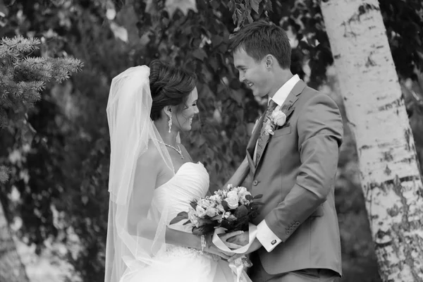 Pareja feliz el día de la boda. Novia y novio . —  Fotos de Stock