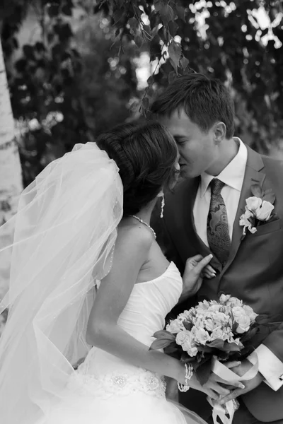 Pareja feliz el día de la boda. Novia y novio . —  Fotos de Stock