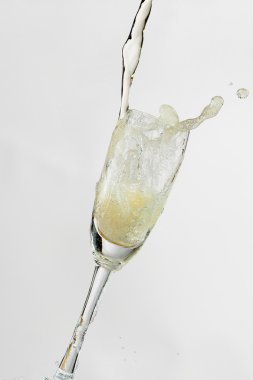 beyaz şarap cam, beyaz zemin üzerine izole dışarı sıçramasına