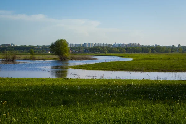 Campo de relva verde e cidade longe. Concentre-se no primeiro plano!!! DOF superficial !!! — Fotografia de Stock