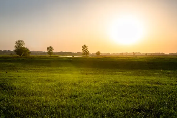 Campo al atardecer —  Fotos de Stock