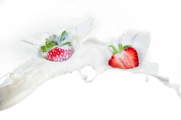 Erdbeere, die in spritzende Milch fällt. isoliert auf weiß. — Stockfoto
