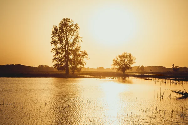 Belo pôr do sol sobre o lago da floresta — Fotografia de Stock