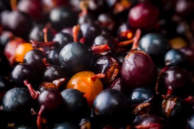 Frenk üzümü arka plan