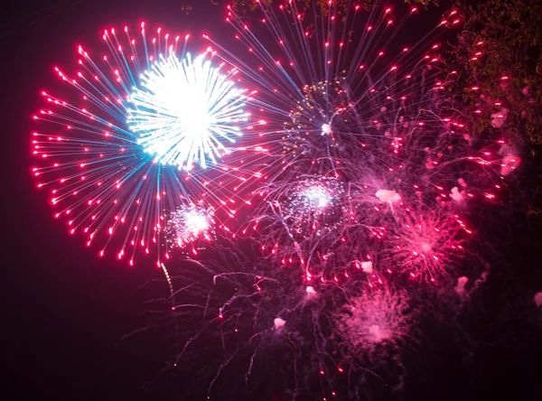 Fogos de artifício — Fotografia de Stock