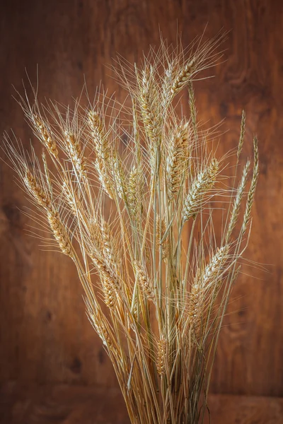 Rye spikelets on wooden background — Stock Photo, Image