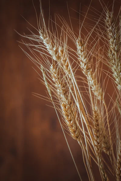 Rye spikelets on wooden background — Stock Photo, Image