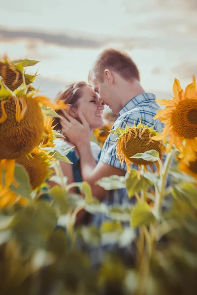Láska pár stojící venku ve slunečnicovém poli — Stock fotografie