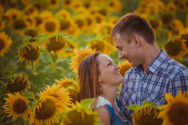 Love couple standing outdoors in sunflower field — Stock Photo, Image