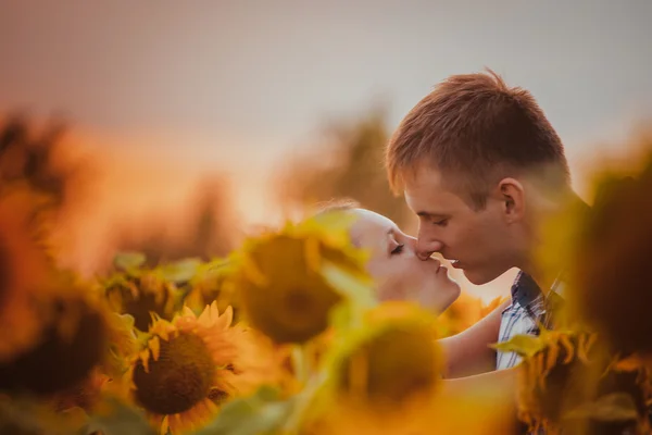 Любовь пара стоит на открытом воздухе на подсолнечном поле — стоковое фото
