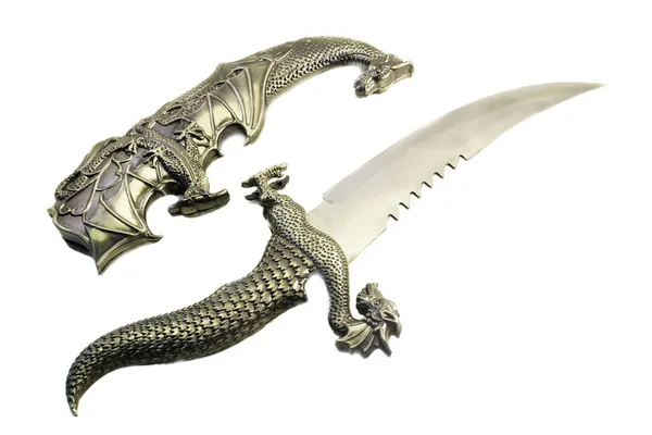 Zwaard en de schede uitgevoerd in de vorm van een draak op een wit — Stockfoto