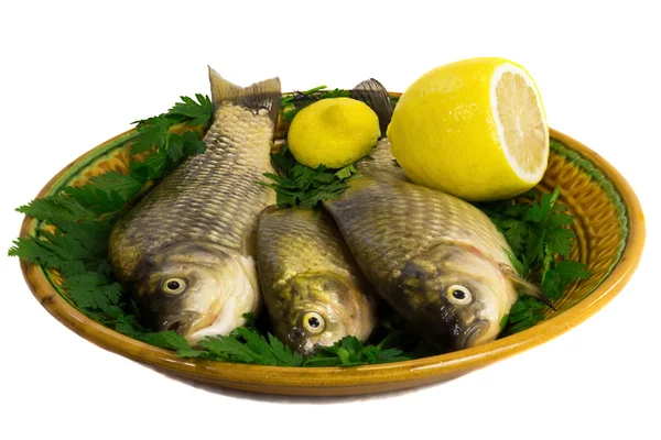 Three carp on ceramic dish , greens and lemon — Stock Photo, Image