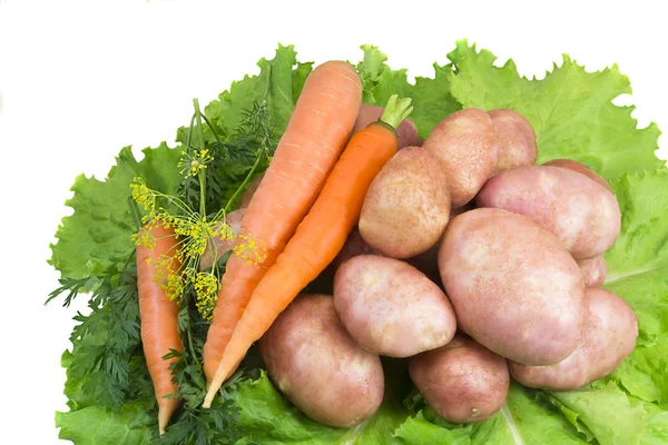 Potatoes, carrots, green salad on a white background. — Stock Photo, Image
