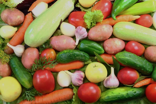 Gåvor av naturen - en mängd olika frukter, grönsaker och sallad — Stockfoto